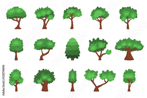 Set of Cartoon Trees Isolated Coniferous And Deciduous Plants on White Background. Forest And Garden Green Oak