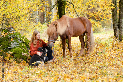 Young woman under yellow maple tree with Icelandic horse and Lapponian Herder in autumn scenery © AnttiJussi