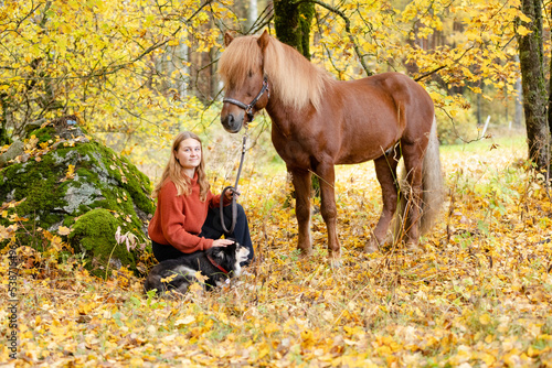 Young woman under yellow maple tree with Icelandic horse and Lapponian Herder in autumn scenery © AnttiJussi