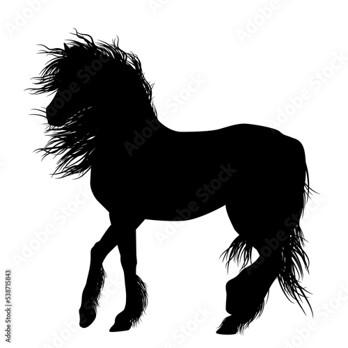 Wild Horses silhouette on white background