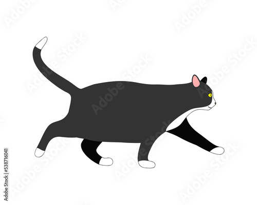 Walking fat cat isolated on white background. Profile of kitten with overweight or obese body condition. Domestic animal obesity. Vector flat illustration