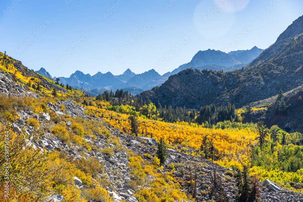 Fall Colors in Eastern Sierra California