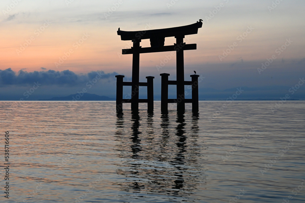 夜明けの滋賀県琵琶湖中に建つ白鬚神社の大鳥居が美しい