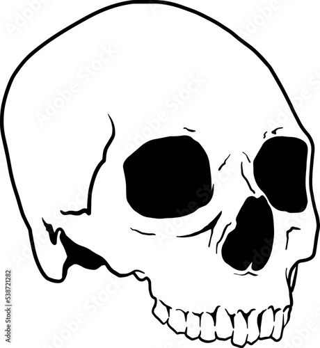 Skull Black and White Vector Illustration