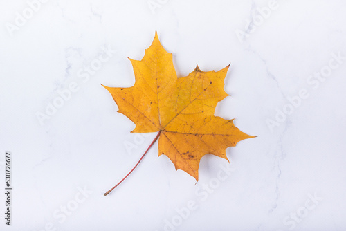 Yellow autumn leaf on grey concrete background.