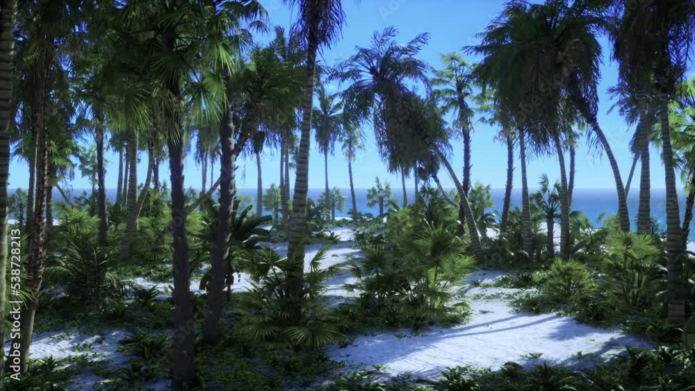 Palm Beach In Tropical Idyllic Paradise Island Palm Beach In Tropical Idyllic Paradise Island