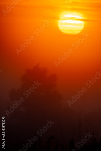 Sunrise Background Vetical