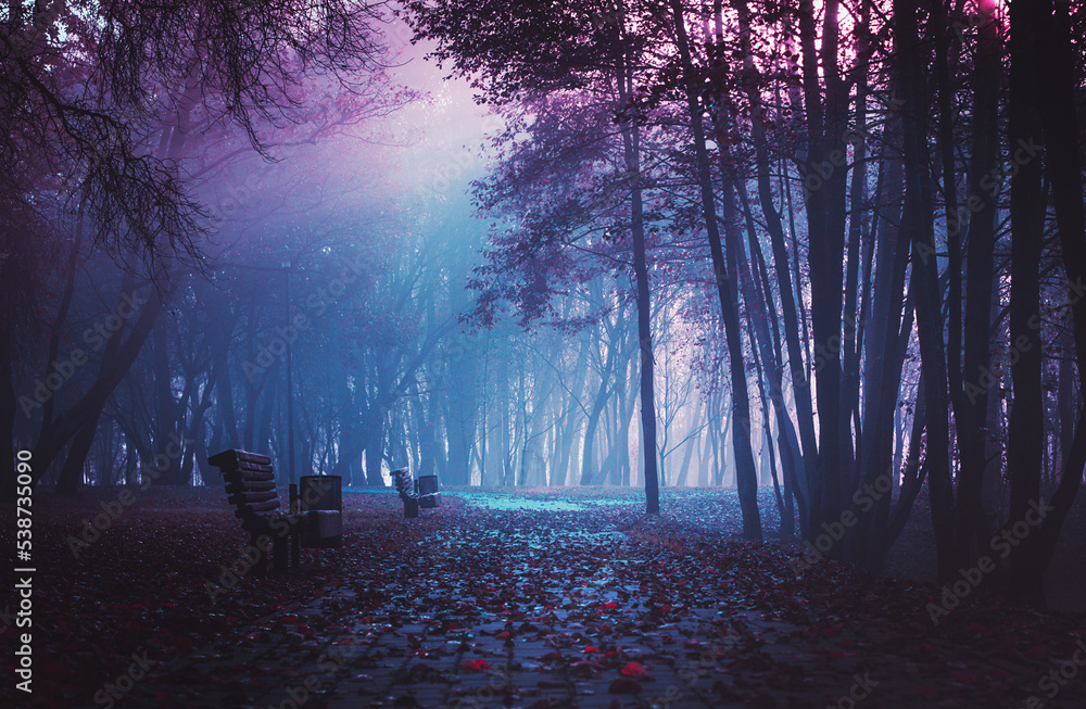 Strangers park. Mysterious fairy forest. Dark fantasy wallpaper. Stranger  trees in the mist. Scary atmosphere. Mysterious road. Mystical forest in a  fog. Dark scary park with leaves. Stock Photo | Adobe Stock