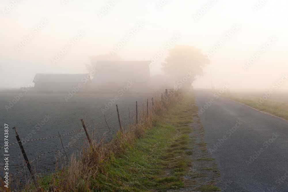 Naklejka premium Country Road and Old Historic Barn Enveloped in Fog. Sunrise view of this rural road in a farming community in the Skagit Valley, Washington.
