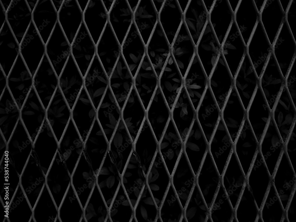 Fototapeta premium フェンス