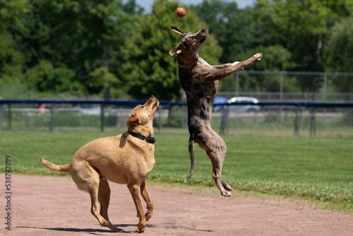 Keep Your Eye On The Ball