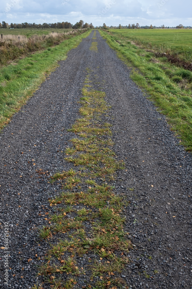 Rural road with tire tracks is located between two fields, against the sky, in the countryside. Agricultural landscape. Rural road with tire tracks is located between two fields, against the sky, in the countryside. Agricultural landscape.