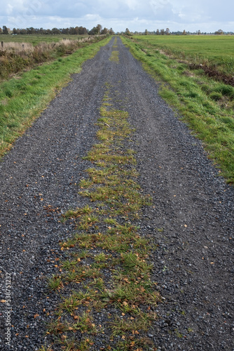 Rural road with tire tracks is located between two fields, against the sky, in the countryside. Agricultural landscape.