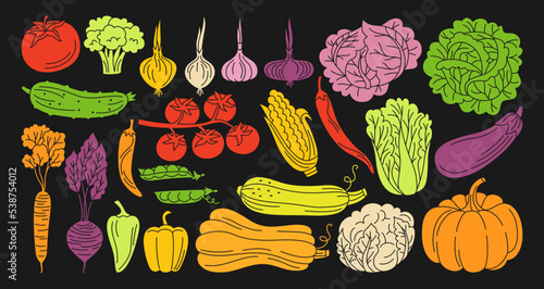 Vegetables hand drawn set. Healthy diet food farm product veggies collection. Farming harvest cauliflower, tomato broccoli, cucumber pepper carrot salad. Cooking ingredients engraving linear vector
