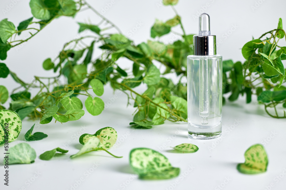 A perfume or essential oil glass bottle on a white background surrounded by green leafs A perfume or essential oil glass bottle on a white background surrounded by green leafs