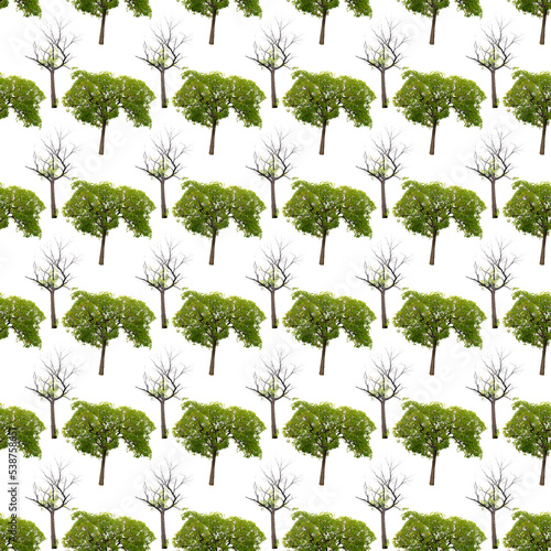 Ornamental pattern created from a photograph of branches and trees on a white background.