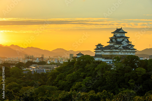 夜明け前の国宝姫路城 © Tsuboya