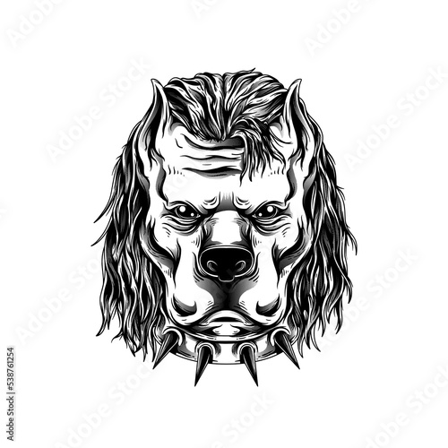Vector illustration of a dog's head isolated on a white background photo