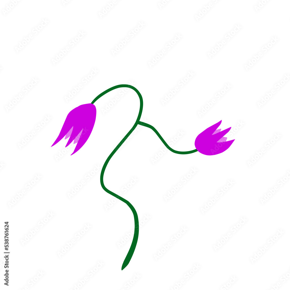 Fototapeta premium purple flower with green stem