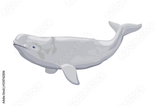 Fotobehang beluga whale sealife