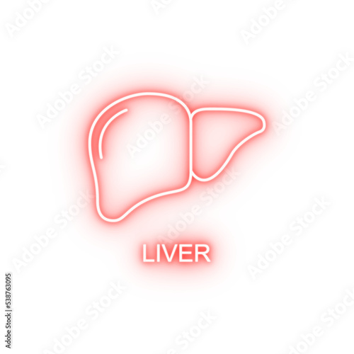 liver line neon icon
