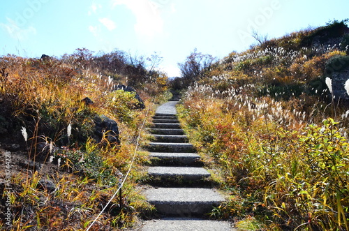 Mt Kurikoma is a volcano on the prefectural borders of Akita, Iwate and Miyagi. It is famous for having a wide range of mountain plants and amazing fall foliage. It is known as one of Japan’s best Mt. photo