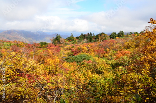 Mt Kurikoma is a volcano on the prefectural borders of Akita  Iwate and Miyagi. It is famous for having a wide range of mountain plants and amazing fall foliage. It is known as one of Japan   s best Mt.