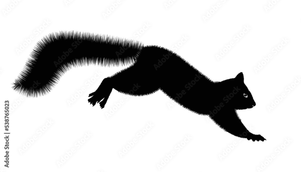 Squirrel cute funny. Funny wild animal cartoon squirrel running, standing and jumping. vector squirrel collection cartoon animal character design Isolated flat vector illustration.