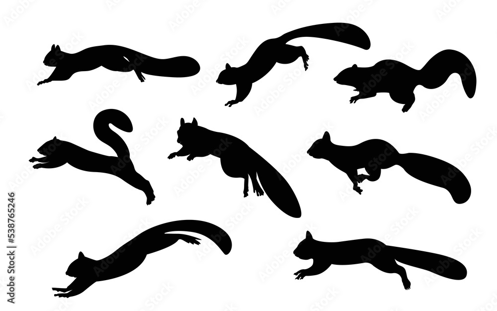 Squirrel with vector silhouette. Funny wild animal cartoon squirrel running, standing and jumping. vector squirrel collection cartoon animal character design Isolated flat  illustration.