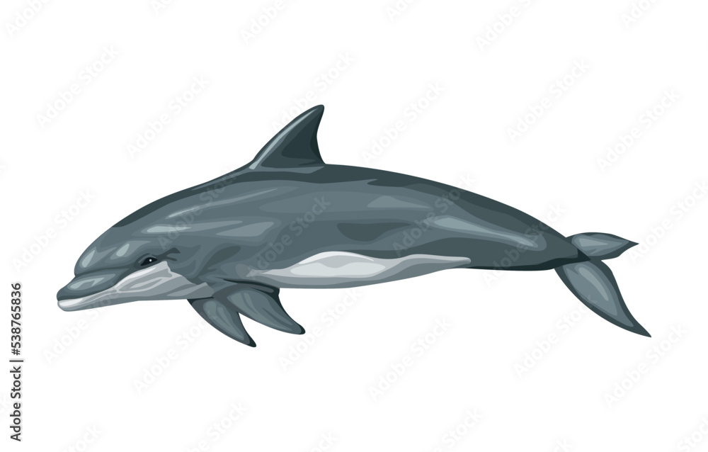 Obraz premium bottlenose whale sealife