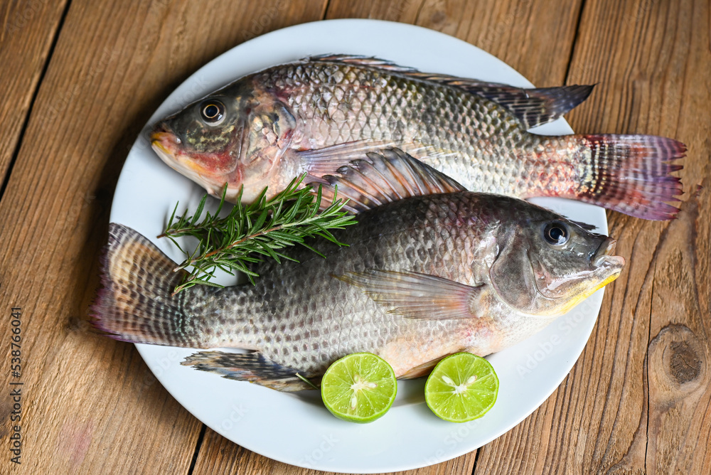 Tilapia with white plate with rosemary lemon lime on wooden background, Fresh raw tilapia fish from the tilapia farm Tilapia with white plate with rosemary lemon lime on wooden background, Fresh raw tilapia fish from the tilapia farm