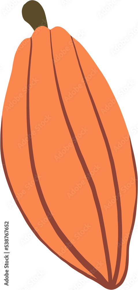 cacao fruit doodle drawing cacao fruit doodle drawing