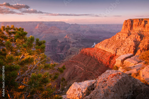Grand Canyon south rim and Colorado River at sunset with tree, Arizona, USA