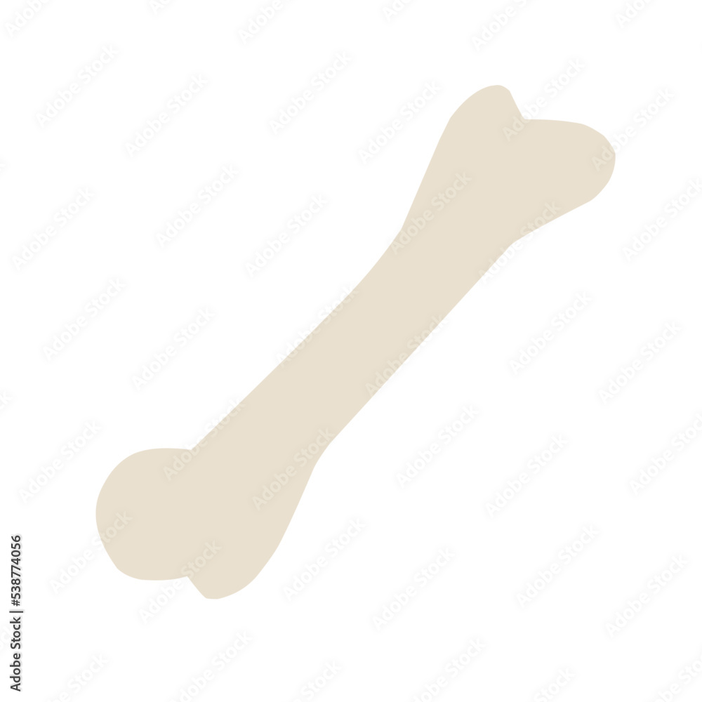 bone illustration bone illustration