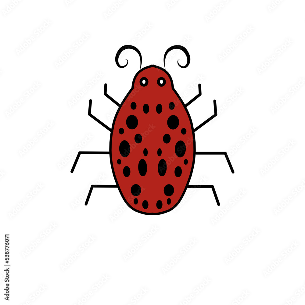 red beetle red beetle
