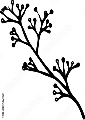 Hand drawn Floral, plants doodles illustration