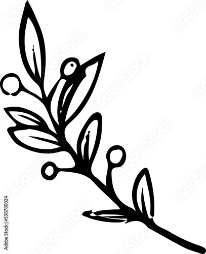 Hand drawn Floral, plants doodles illustration