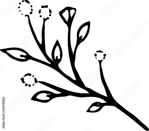 Hand drawn Floral, plants doodles illustration