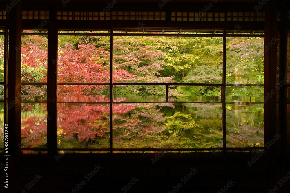 Naklejka premium the reflection of Japanese maple in Autumn 