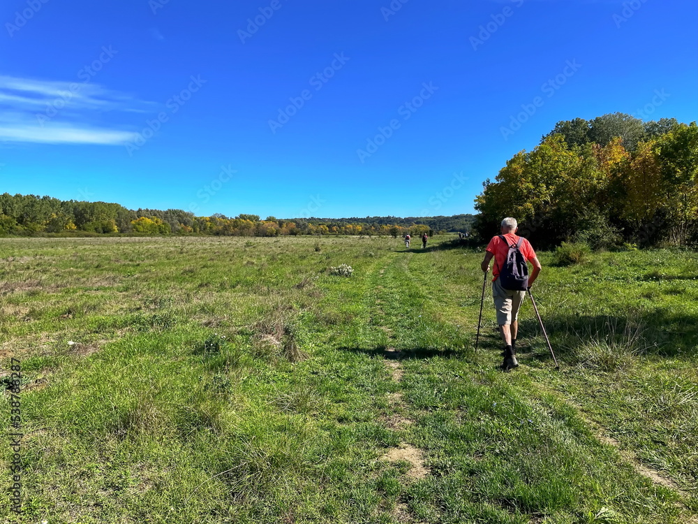 Senior man hiking across the meadow