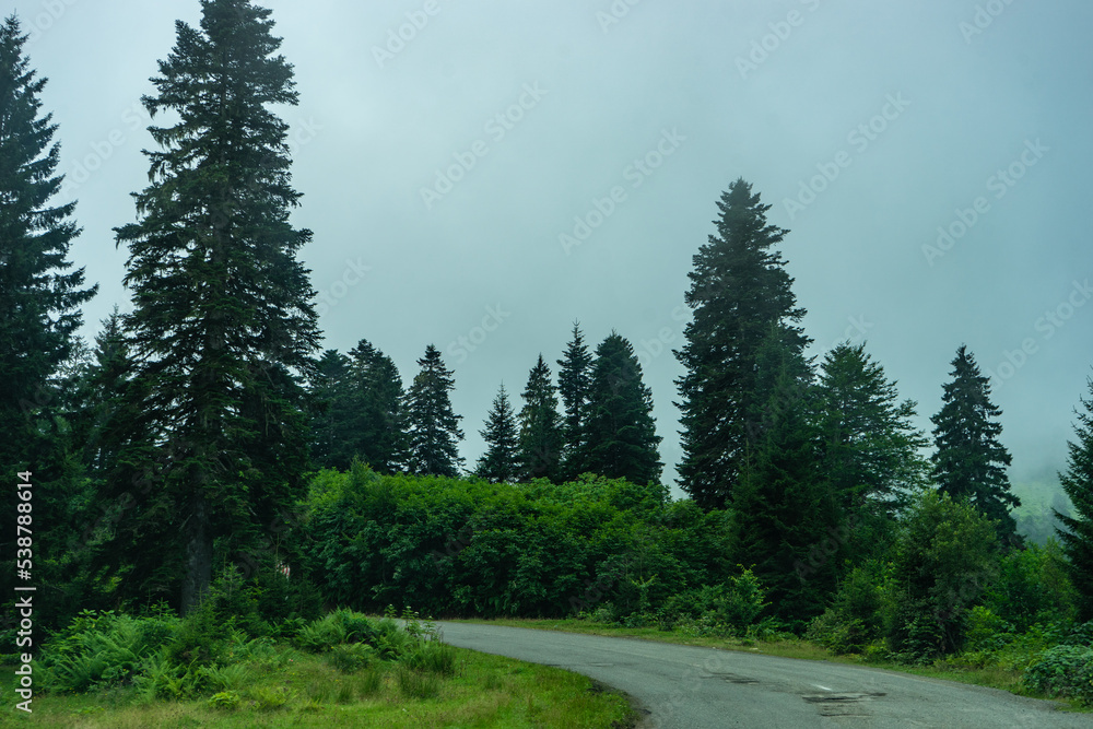 Fototapeta premium Caucasus mountain in georgian region Guria