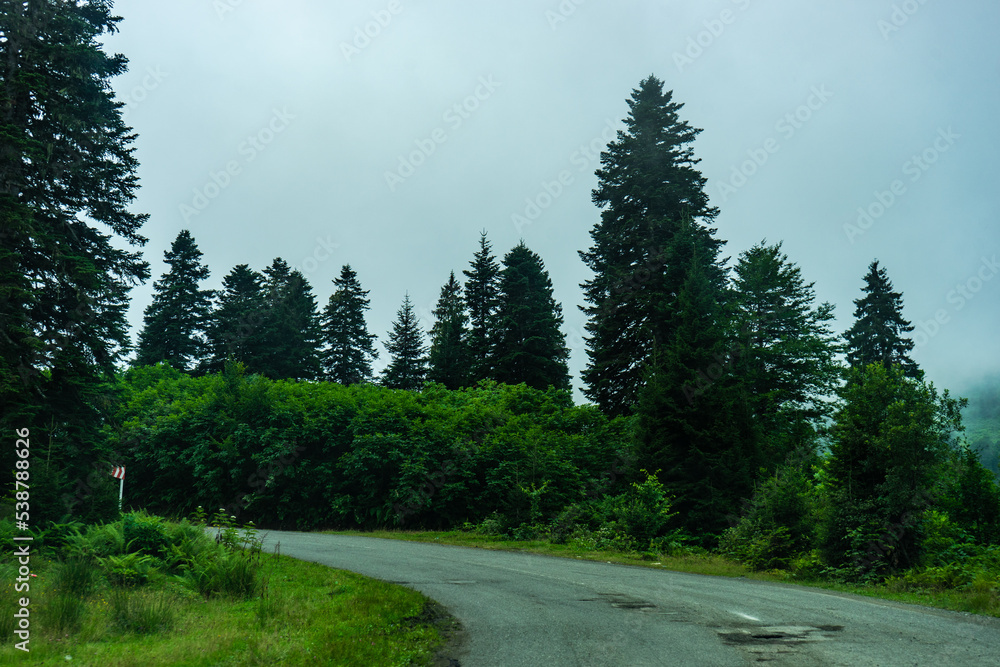 Fototapeta premium Caucasus mountain in georgian region Guria