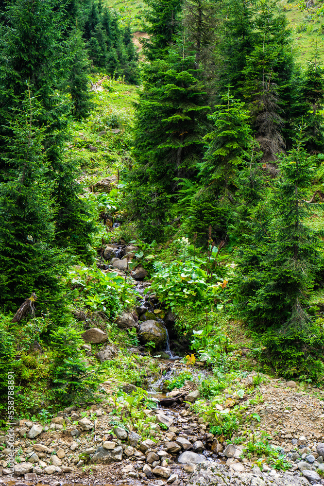 Fototapeta premium Caucasus mountain in Guria region of Georgia