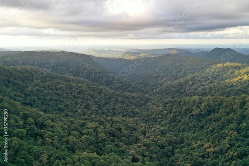 A sky view of deep forest