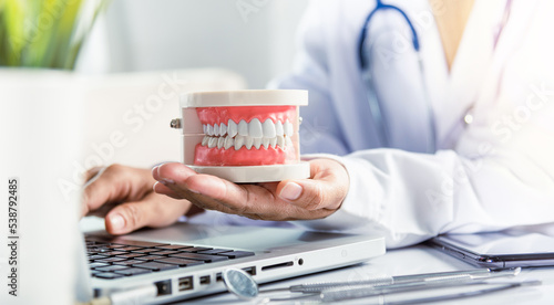 Oral dental hygiene. Female doctor sitting and hold tooth on desk at clinic office have laptop computer  Dentist woman hand holding educational jaw model of oral cavity with teeth at workplace