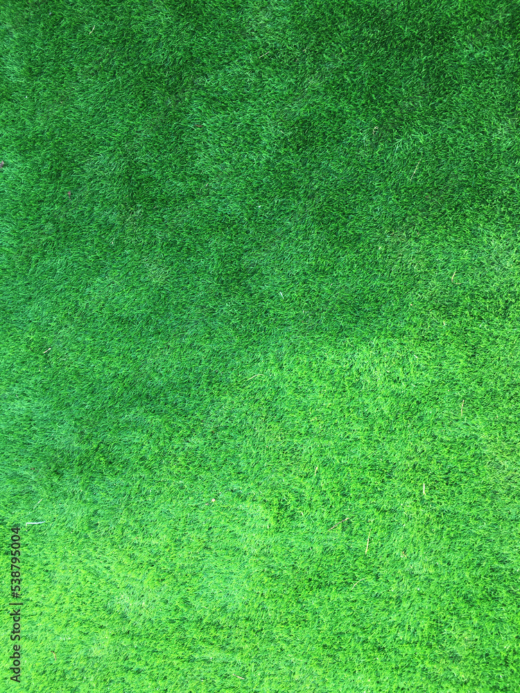 Green grass background Green grass background