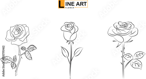 Line art of flowers and plants vector set design on transparent background
