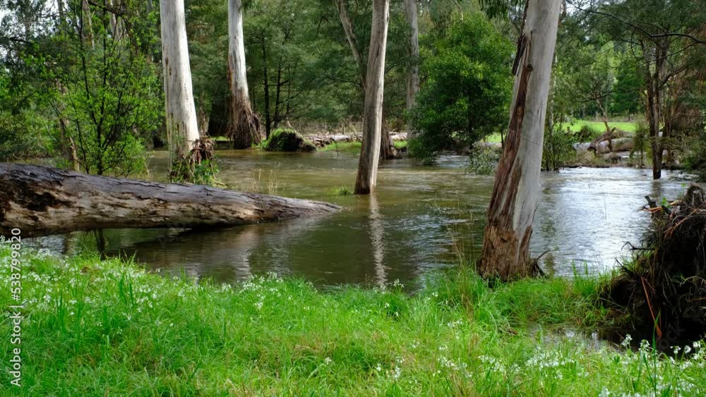Yarra Glen and Yering Area Of The Yarra Valley. Victoria. Affected By Extensive Flooding and Road Closure's Yarra Glen and Yering Area Of The Yarra Valley. Victoria. Affected By Extensive Flooding and Road Closure's