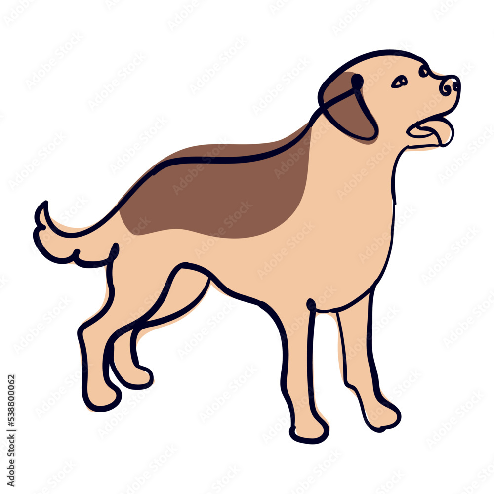 Fototapeta premium dog domestic pet