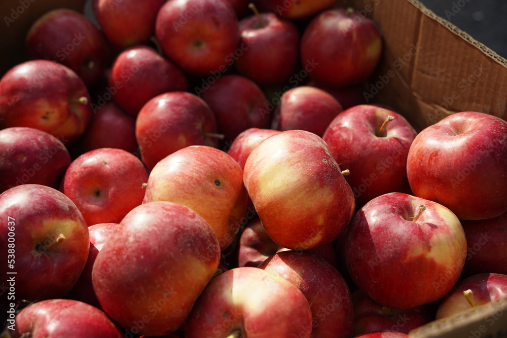 Apples of different varieties on sale at the market. Apples of different varieties on sale at the market.